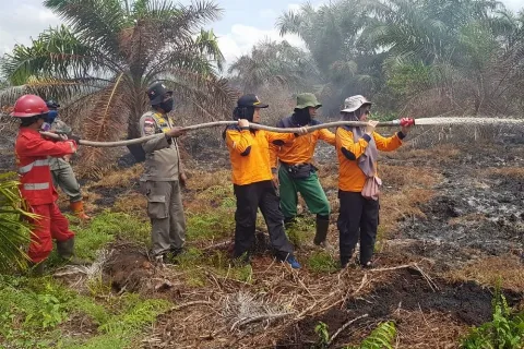 Satgas Karhutla Riau Padamkan 9 Titik Api