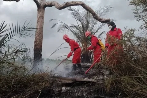 Satgas Karhutla Padamkan 5 Lokasi Titik Api