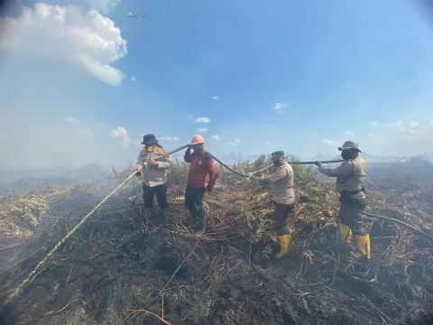 20 Ha di Padamkan Tim Satgas Karhutla di Lahan Gambut Sedalam 10 Meter