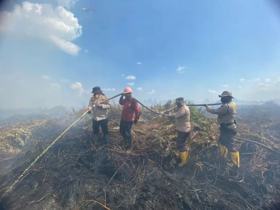 20 Ha di Padamkan Tim Satgas Karhutla di Lahan Gambut Sedalam 10 Meter