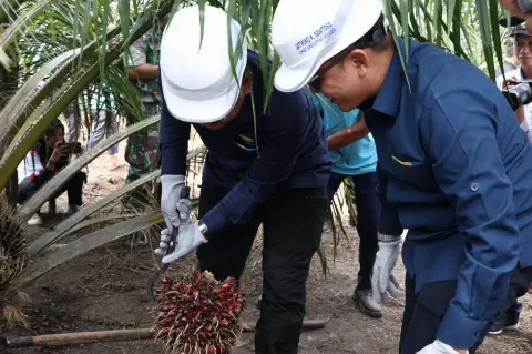 Program PSR PTPN V Menjadi Program Strategis Nasional