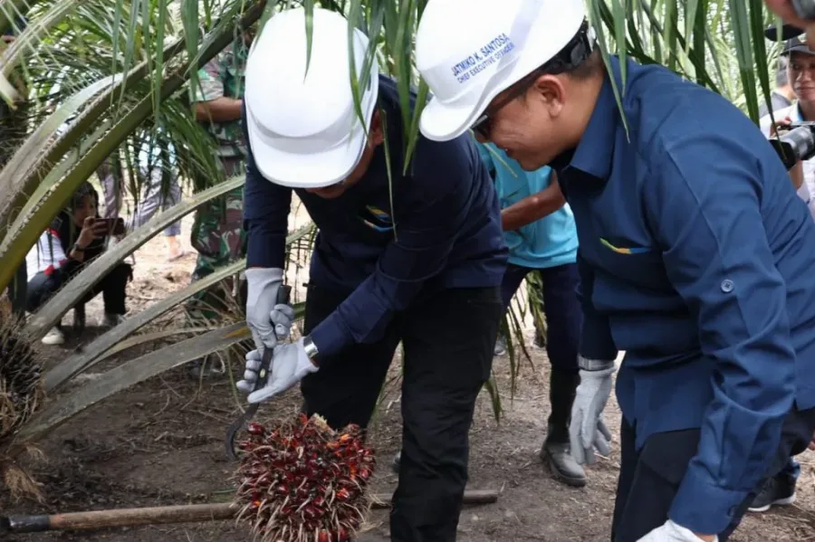 Program PSR PTPN V Menjadi Program Strategis Nasional