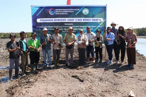 Tingkat Keberhasilan Sampai 90%, GAPKI Bersama Kemenko Marves Lanjutkan Penanaman Mangrove di Kumai