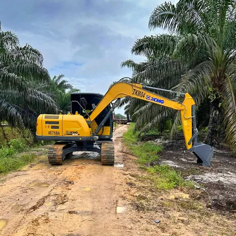 Keunggulan  Excavator XCMG Dibutuhkan Perkebunan Sawit