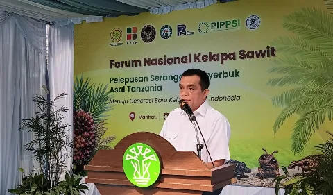 Tingkatkan Produktivitas Sawit, PTPN IV Uji Penyerbuk Asal Afrika