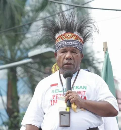 BP3OKP: NGO Jangan Recoki Pembenahan Sawit di Kawasan Hutan