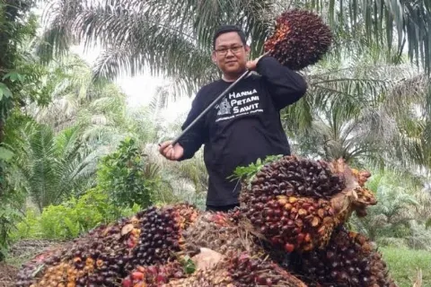 Peran Penting CPO Dalam Menjaga Ketahanan Energi Nasional