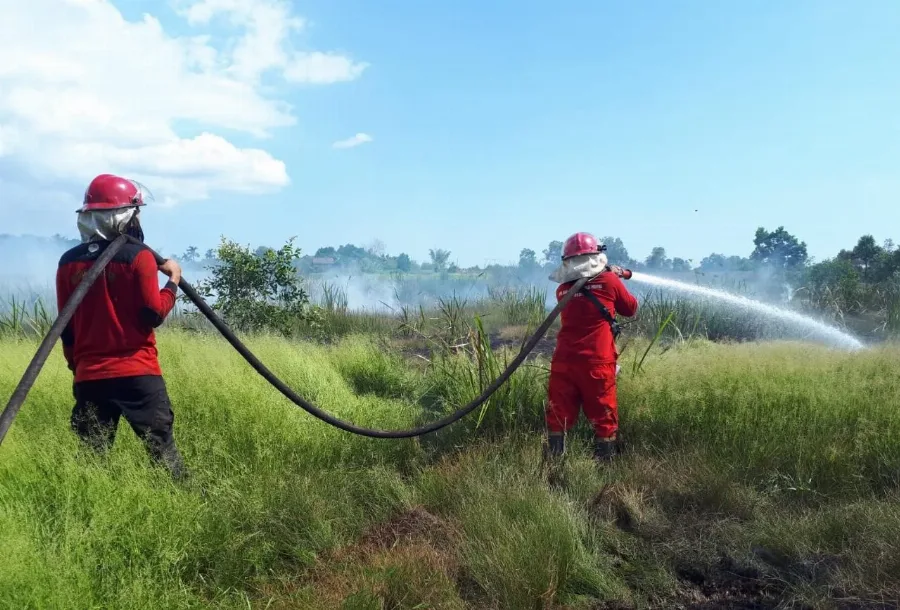 Kerja keras Manggala Agni Kalimantan V Berhasil Memadamkan karhutla, Pemadaman gabungan Dekat Bandara Syamsudin Noor