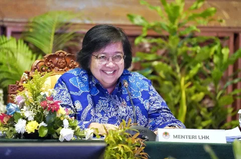 Tata Kelola Lingkungan Dalam Pelaksanaan Nilai Ekonomi Karbon di Indonesia