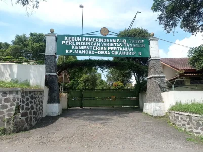 PVTPP  Menyusun Pedoman Kebun Pemeriksaan Substantif