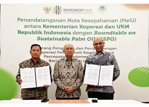 KemenKopUKM dan RSPO Perkuat Petani Sawit