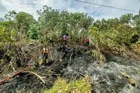 BPBD Kabupaten Penajam Paser Utara, Berhasil Memadamkan Kebakaran Hutan dan Lahan