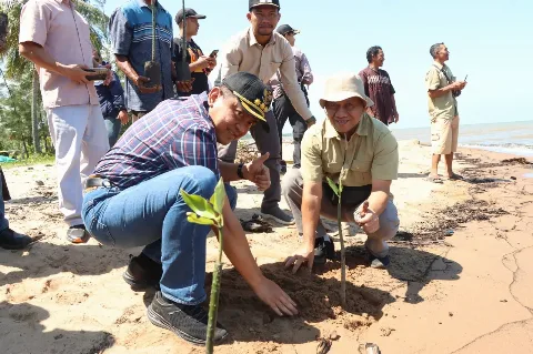 Pj Bupati Kobar Apresiasi GAPKI Dalam Penanaman Mangrove