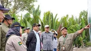 Rehabilitasi Mangrove Tingkatkan Kesejahteraan Masyarakat