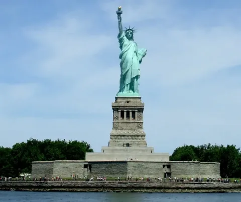 The Domino Effect of EU Deforestation Regulation Reaches New York