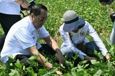 Pupuk Biosaka Organik Produk Mandiri Para Petani