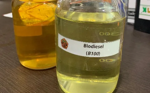 Mahasiswa Politeknik Kampar Berhasil Memproduksi Biodiesel B100