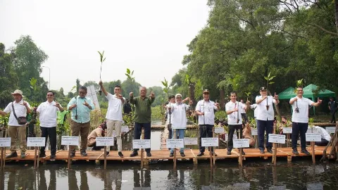 Apical Progresif Tanam Mangrove