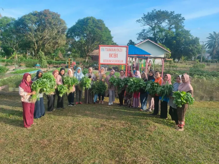 Taman Gizi PTPN V Mendukung Pemerintah Dalam Memerangi Stunting