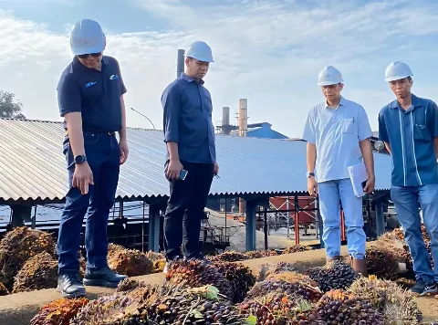 Produktivitas CPO PTPN V Lampaui Target RKAP 2023