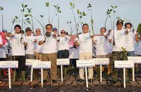 Pupuk Kaltim Berkolaborasi Dengan TNK dan Yayasan Benih Baik Indonesia (benihbaik.com), Menanam 500 Ribu Bibit Mangrove