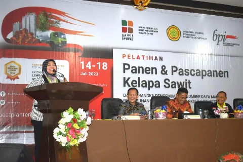 BPDPKS, DITJENBUN dan BPI Bersinergi Melatih Pekebun Sawit