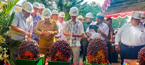 OJK Apresiasi Kemitraan Wilmar dan Petani Plasma Kelapa Sawit