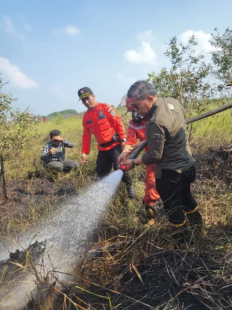 Wamen LHK meninjau kesiapsiagaan pengendalian karhutla di Sumatera Selatan