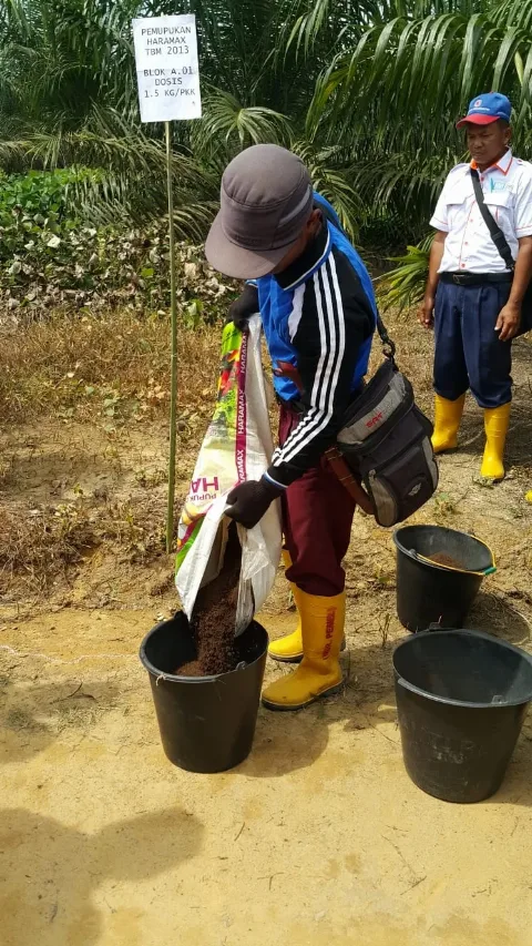 Pupuk Berbasis Mikroba, Solusi Perkebunan Kelapa Sawit Berkelanjutan