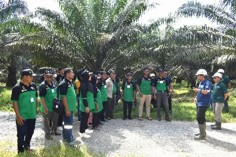 Bersama BPDPKS & DITJENBUN, BPI Latih Pekebun Kampar Bangun “Pabrik” Pupuk Alami