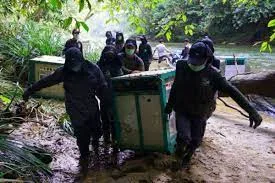 Merdeka Bagi Orang Utan