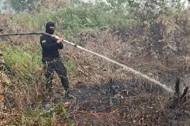 Enam Daerah Berpotensi Kebakaran Hutan dan Lahan