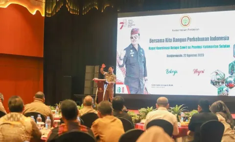 Kementan Fokus Membangun Tata Kelola Kelapa Sawit di Kalimantan Selatan