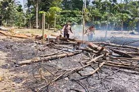 Kepolisian Resor Pesisir Barat, Mengatasi Karhutla yang Terjadi di kawasan Pekon
