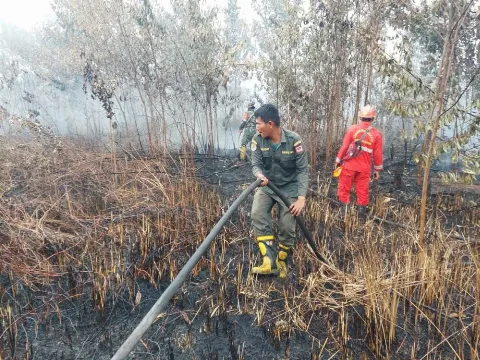 Petugas Gabungan dari Manggala Agni dan TNI Berjibaku Padamkan Kebakaran Lahan di Kampar