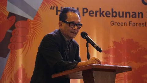 Karut Marut Lahan Sawit Karena Penerapan Putusan MK Tidak Konsisten