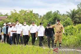 Provinsi Kalimantan Utara Memprogramkan Langkah Antisipasi Dampak El Nino Terhadap Sektor Pangan