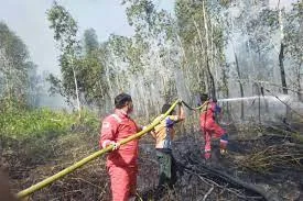 BPBD Kabupaten Paser Mencatat Sebanyak 140 Hektar Lahan Terbakar