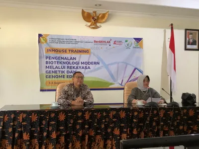 PVTPP dan BRIN Merakit Varietas Unggul Melalui Bioteknologi