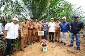 Panen Perdana Petani Mitra PTVN V
