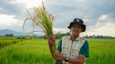 Masuk Tahun Kedua, Pandawa Agri Terbitkan Laporan Perkembangan Pertanian Berkelanjutan di Nagekeo