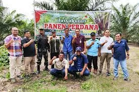 Panen Perdana Anggota Koperasi Produsen Tani Makmur Tapung