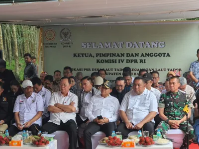 Ketua dan Anggota Komisi IV DPR RI Bersama Bupati Batu Bara meninjau Perkebunan Sawit Rakyat di Desa Laut Tador