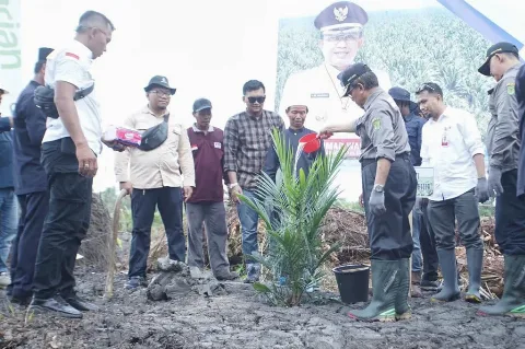 Bupati Indragiri Hilir HM. Wardan Melaksanakan Penanaman Perdana Kelapa Sawit