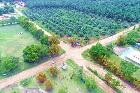 AEP Plantations menjajaki IPO, Target Rampung Tengah 2026
