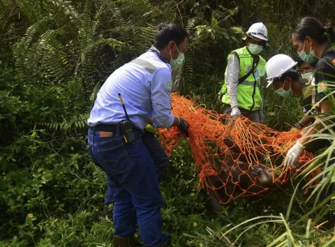 Selamatkan Orang Utan di Perbatasan Area Tambangan