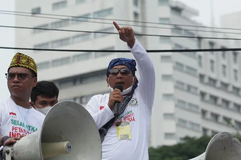 Dekat dengan Ibu Kota, Harga TBS Banten Paling Terendah se-Indonesia, Padahal Tim Penetapan Harga Sudah Terbentuk