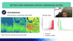BRIN Berkomitmen Dalam Target Penurunan Emisi GRK Pada Sektor Kehutanan