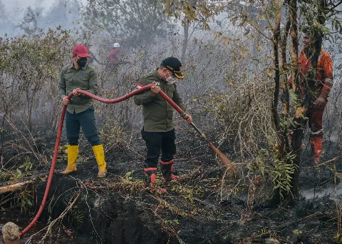 Titik Panas di Provinsi Kaltim Mengalami Penurunan