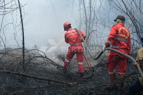 Pertamina Mengerahkan 206 Personil Fireman Membantu Menanggulangi Karhutla